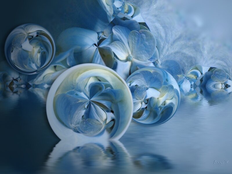 Blue Hydrangea Flowers — Serene, Digital Art