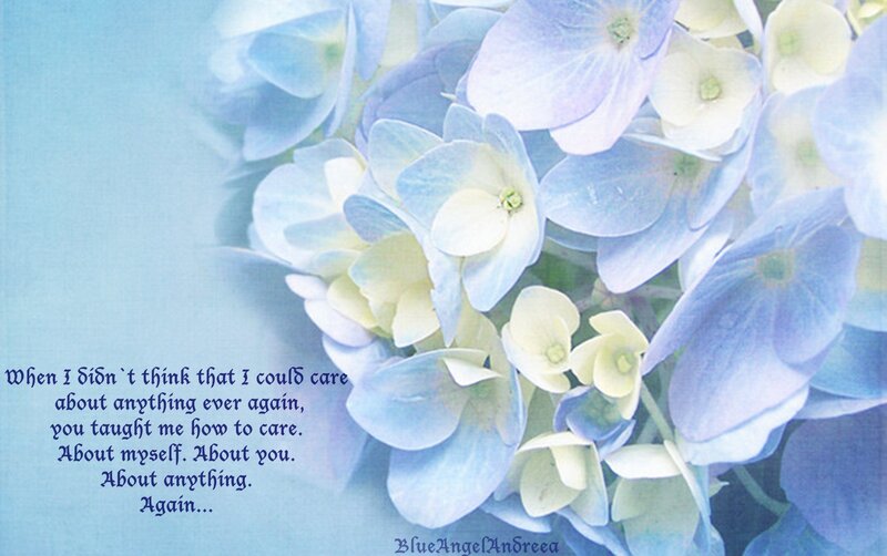 Blue Hydrangea Flowers — Serene, Photograph, Text