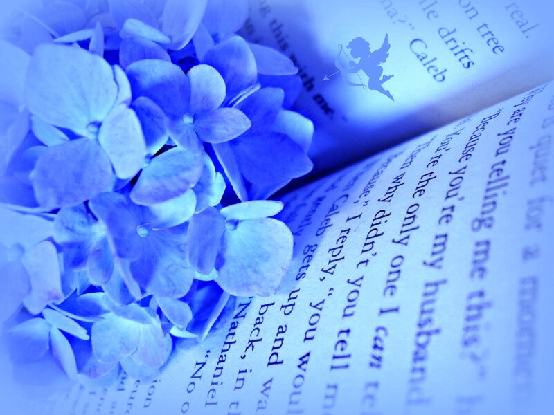 Blue Hydrangea on Book