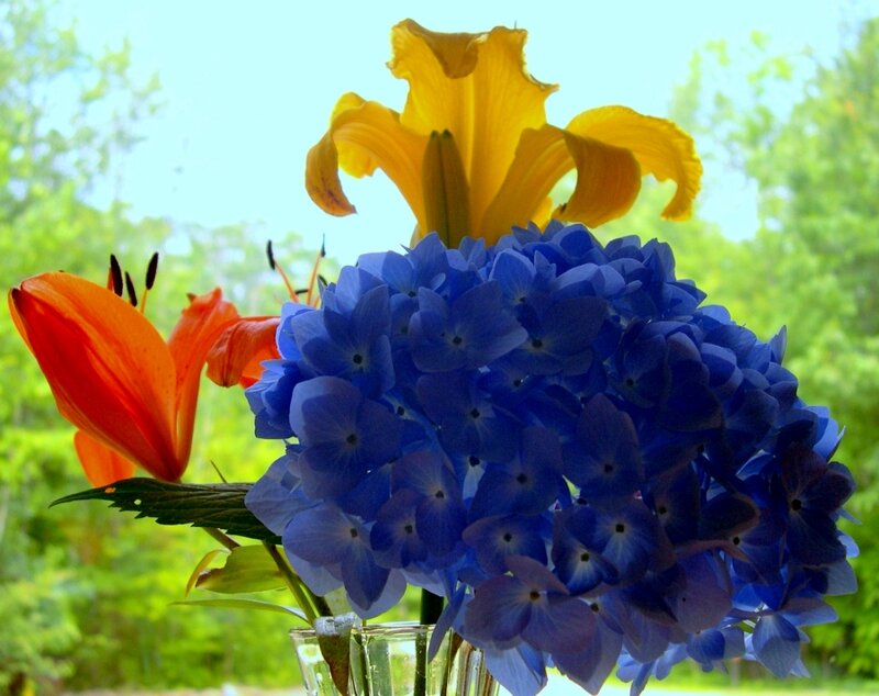 Blue Hydrangea with Lilies