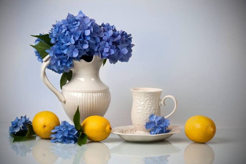 Blue Hydrangeas and Lemons