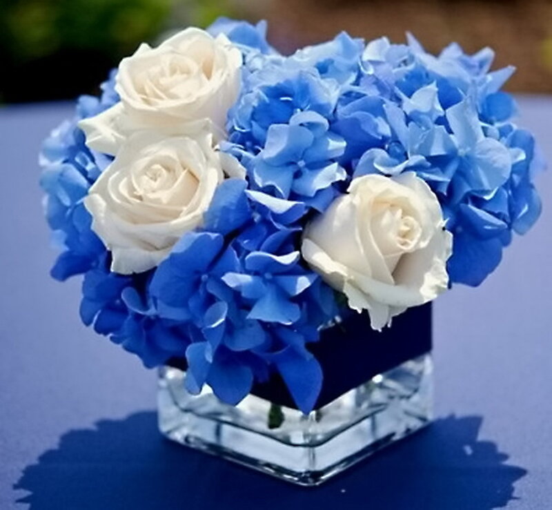 Blue Hydrangeas and White Roses