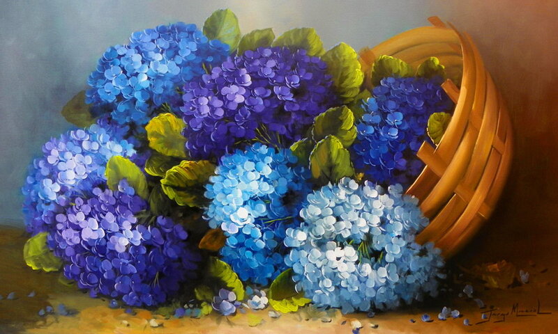 Blue Hydrangeas in Basket — Calm