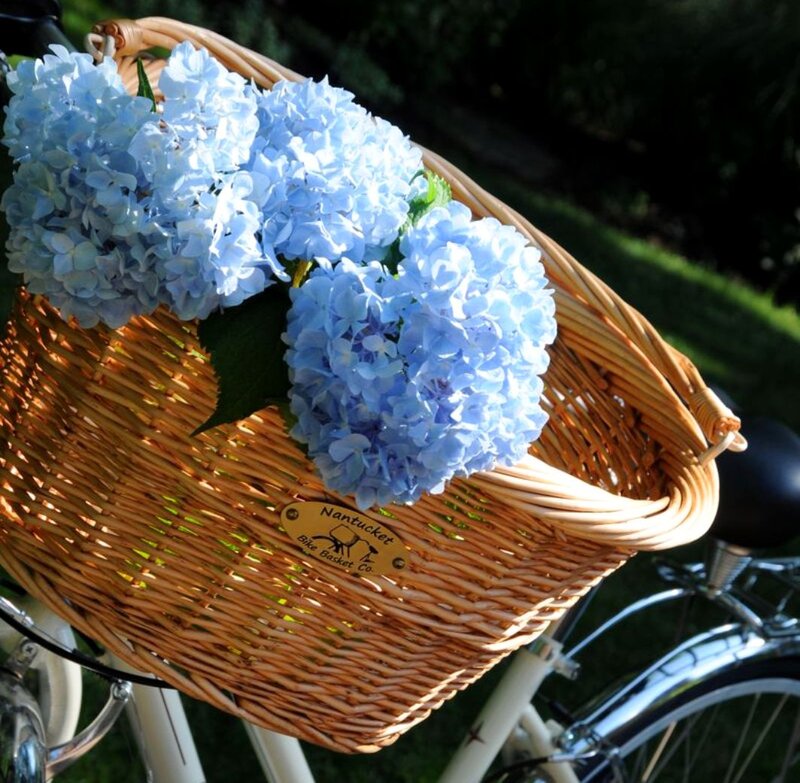 Blue Hydrangeas in Basket — Serene, Afternoon