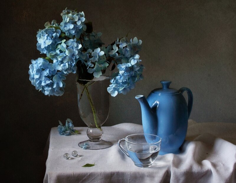 Blue Hydrangeas in Vase — Serene, Photograph