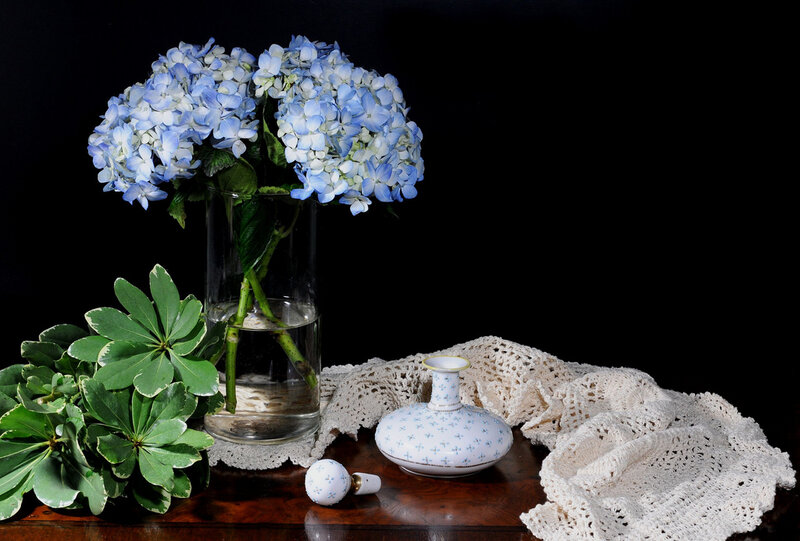 Blue Hydrangeas in Vase — Serene