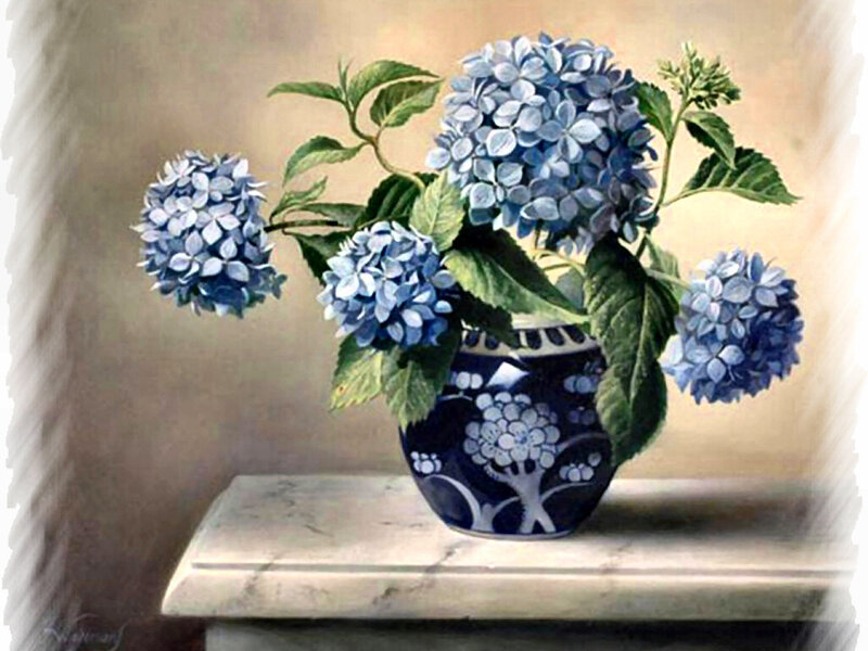 Blue Hydrangeas in Vase