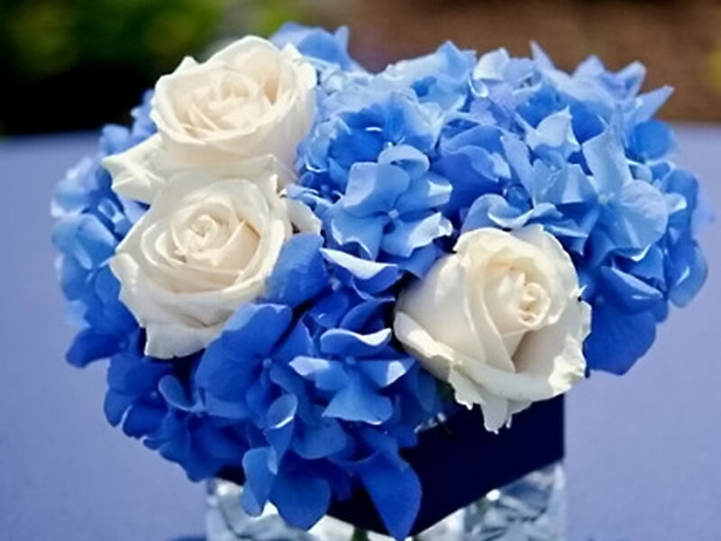 Blue Hydrangeas with White Roses