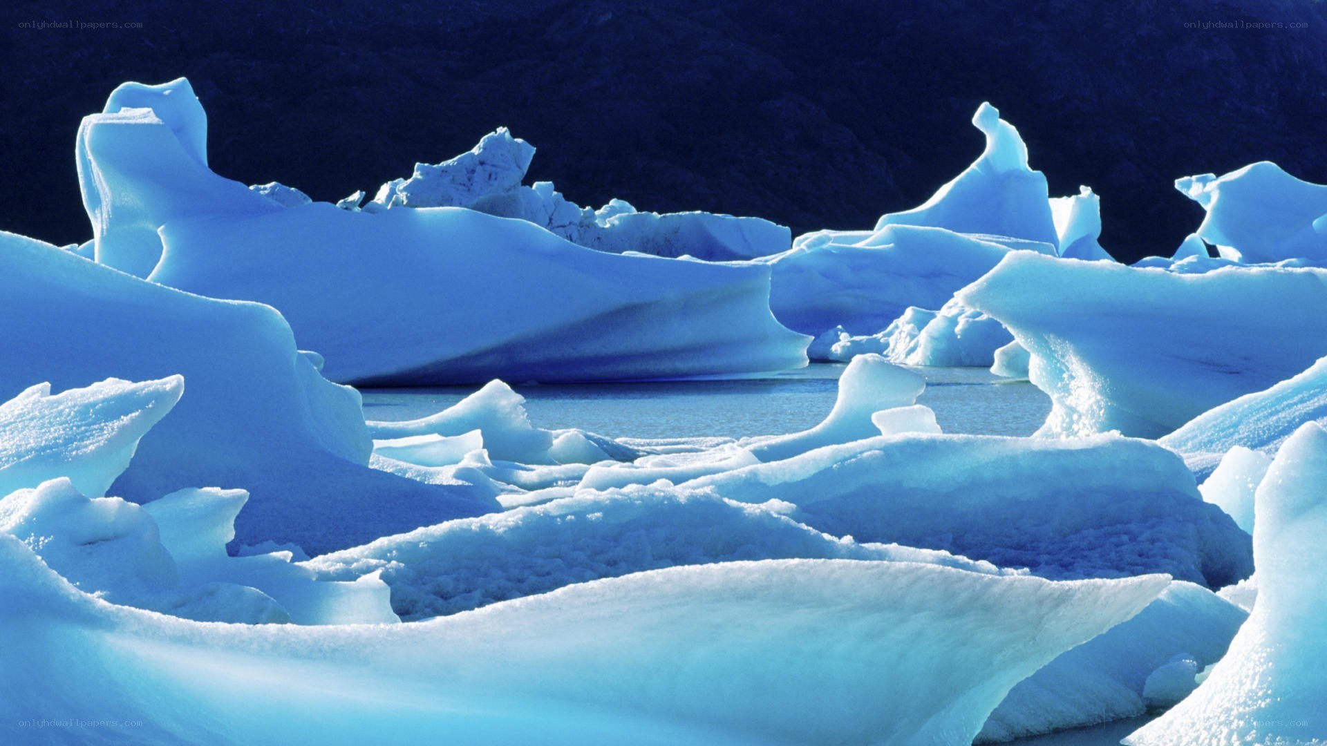 Blue icebergs floating in water