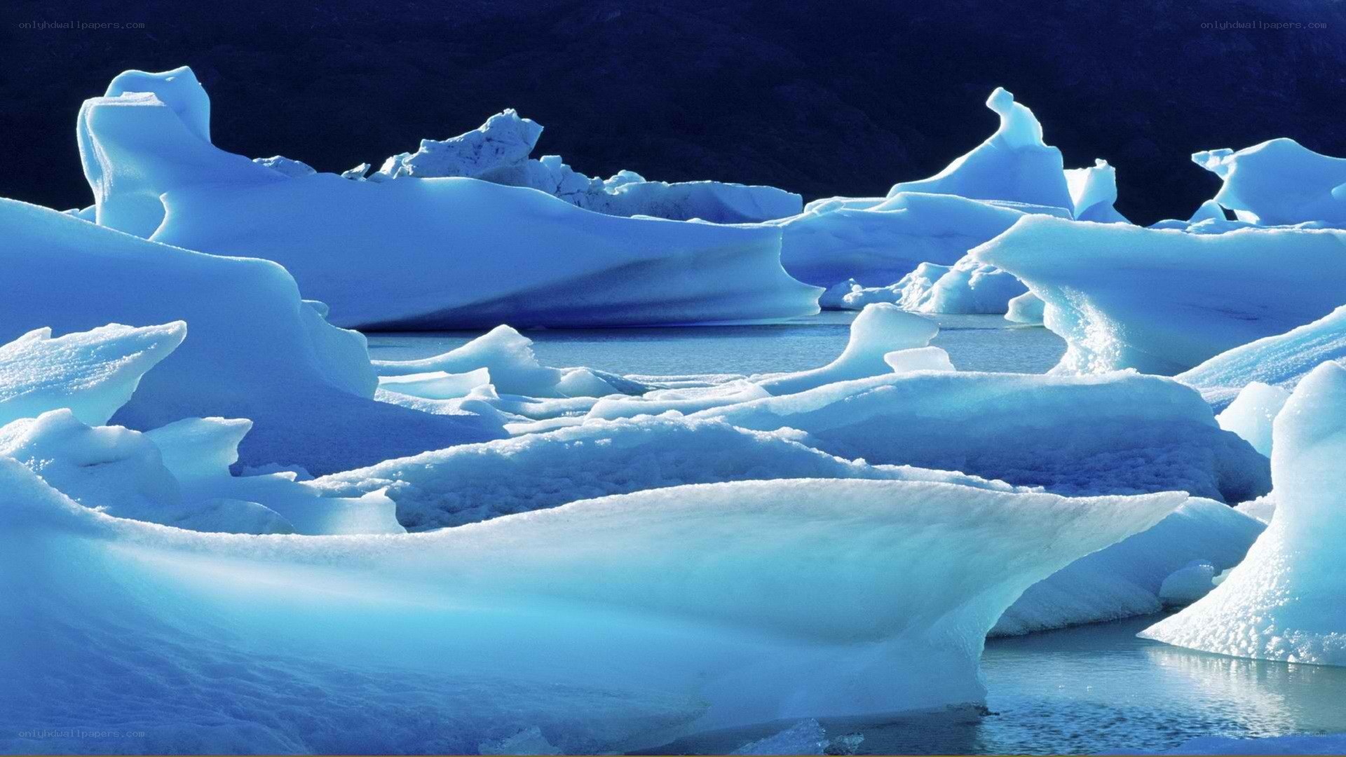 Blue icebergs floating in water