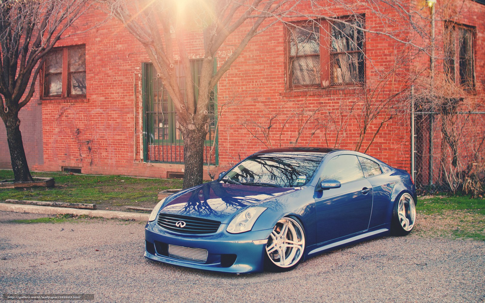 Blue Infiniti G35 Coupe