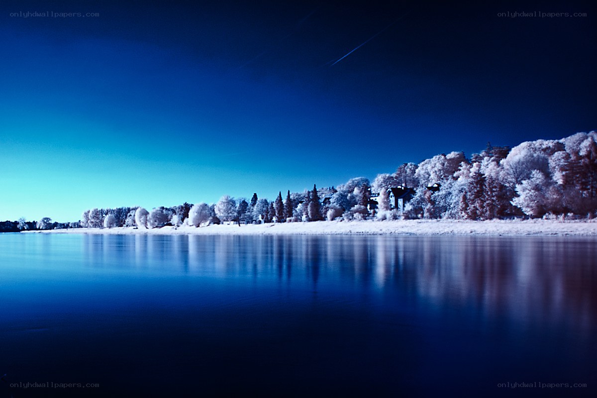 Blue infrared lakeside scene