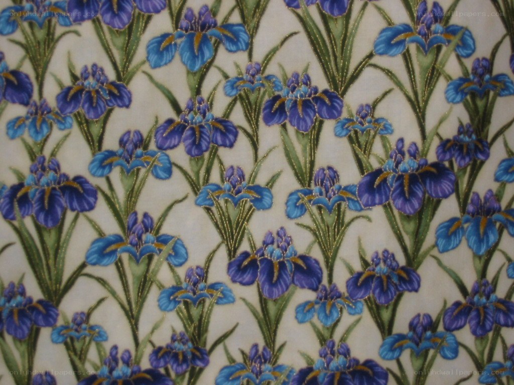 blue iris floral pattern