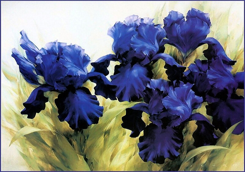Blue Iris Flowers — Calm, Painting