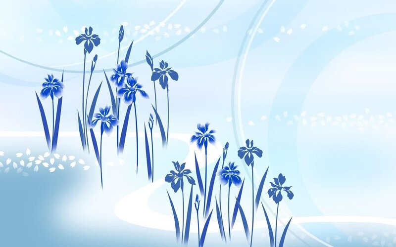 blue iris flowers on blue background