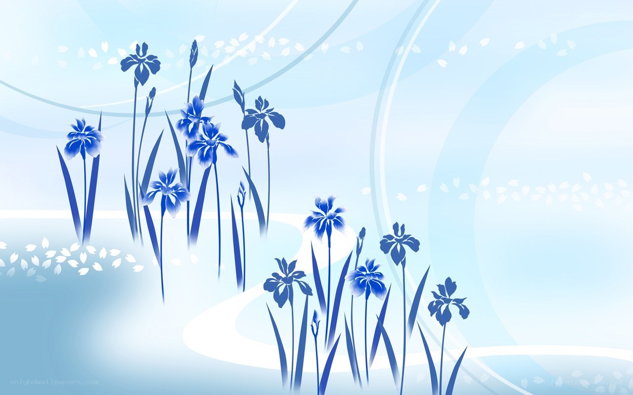 blue iris flowers on blue background