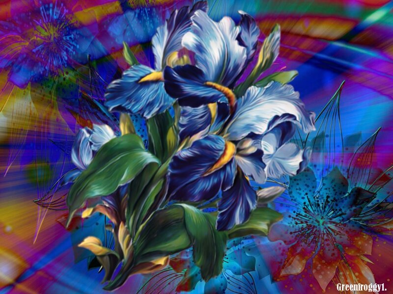 Blue Iris Flowers — Vibrant