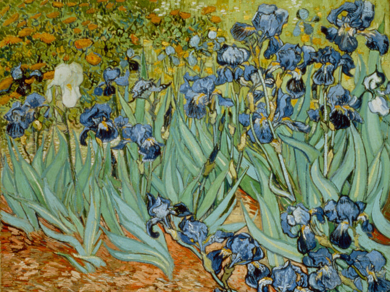 Blue Irises in Garden — Vibrant, Spring, Painting, Flowers