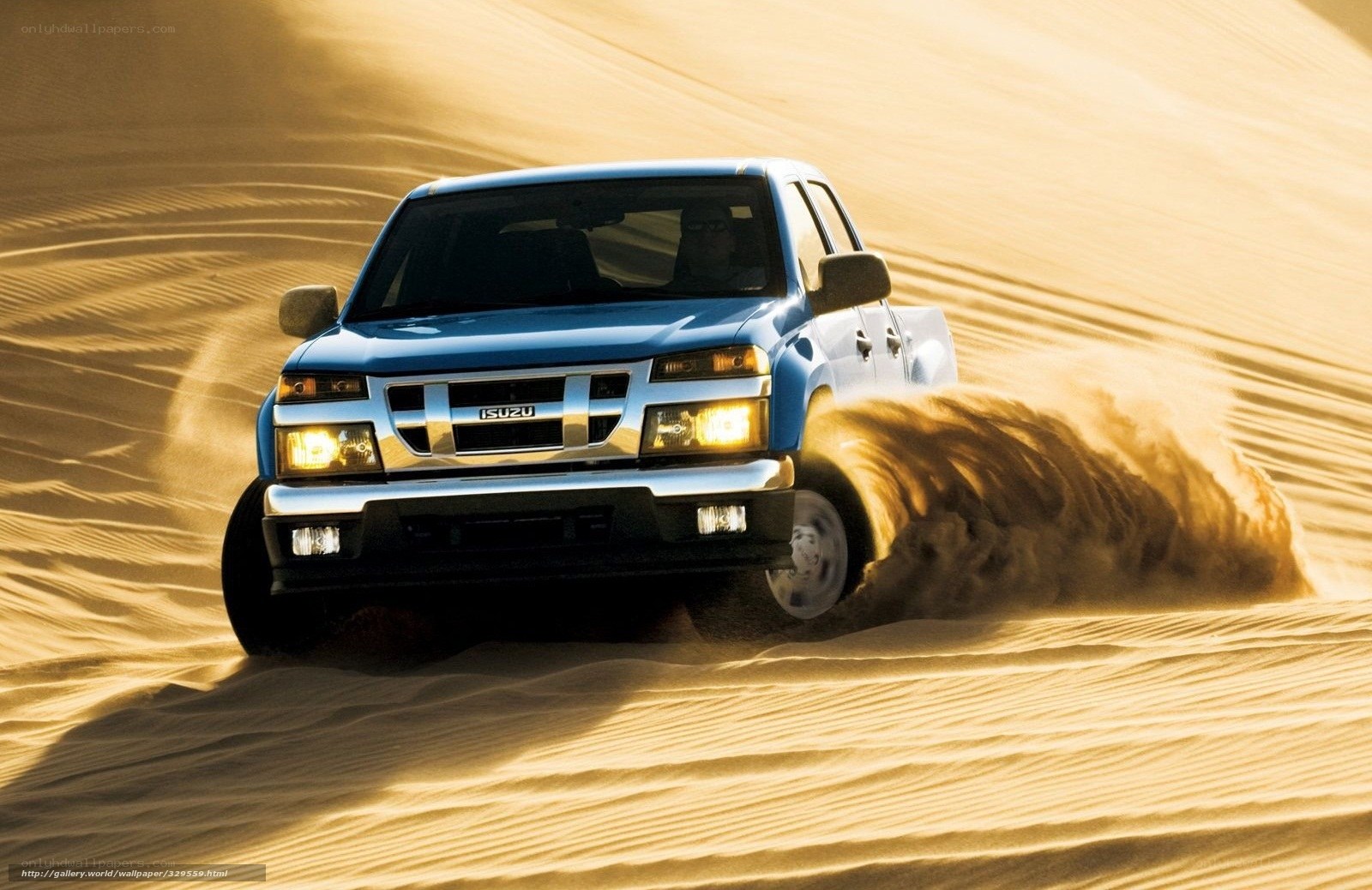 Blue Isuzu pickup in desert