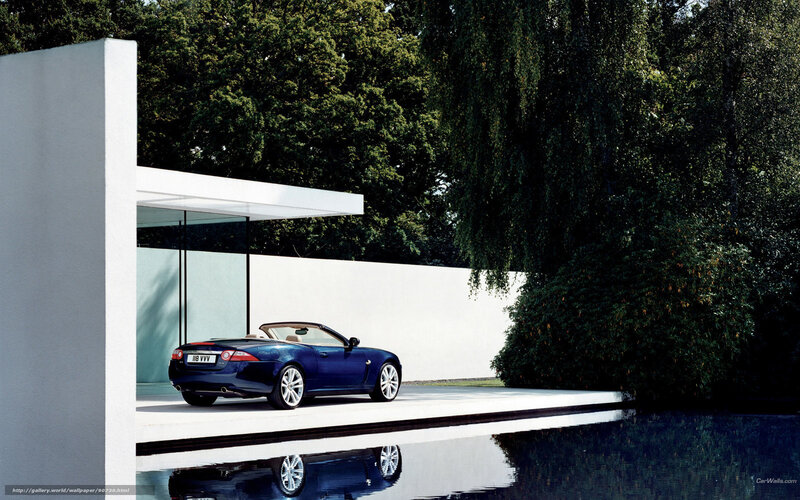 Blue Jaguar Convertible by Pool