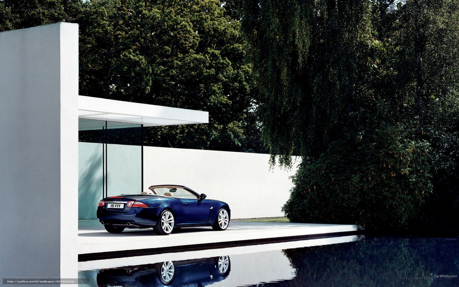 Blue Jaguar Convertible by Pool