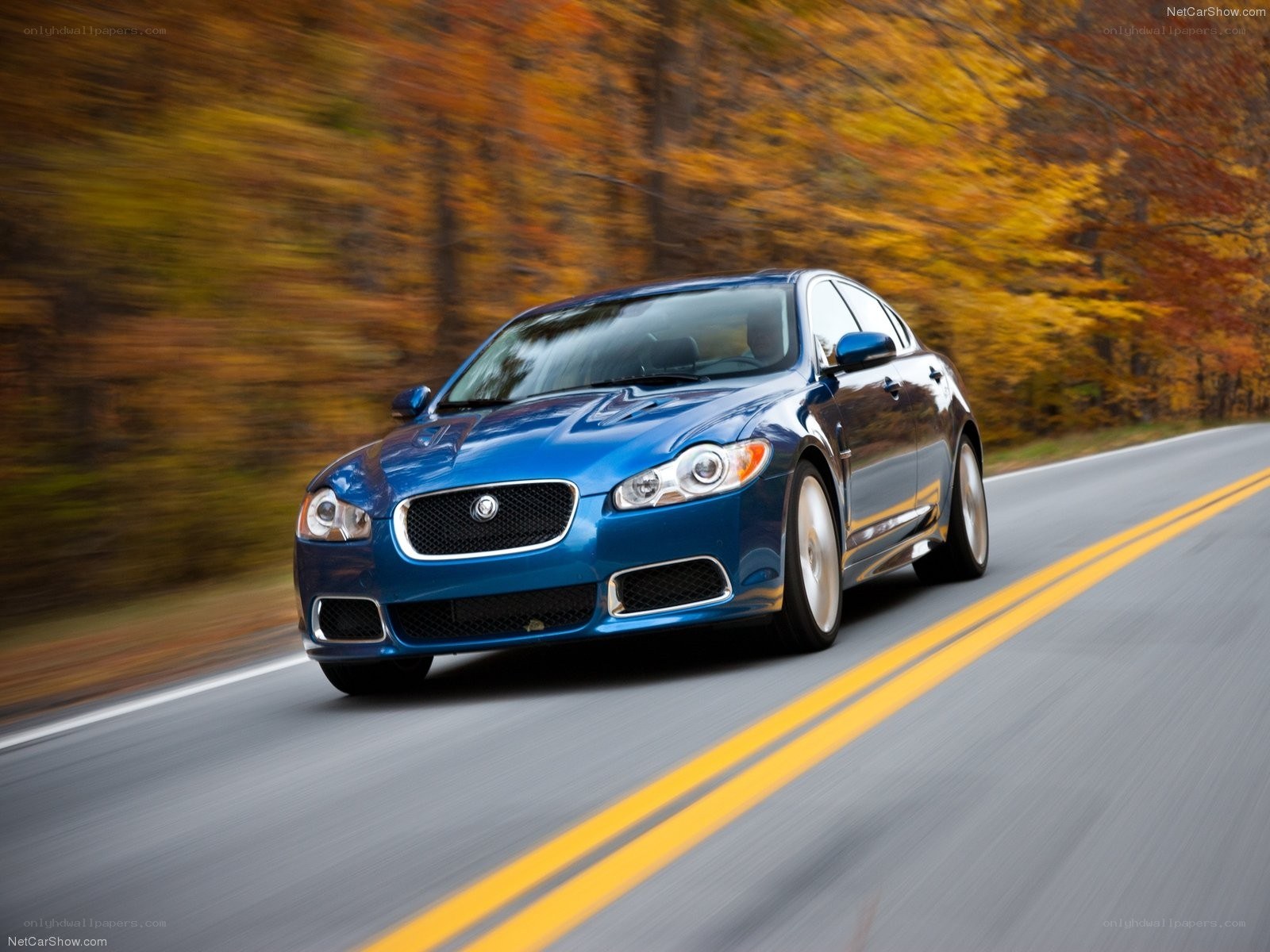 blue jaguar driving on road