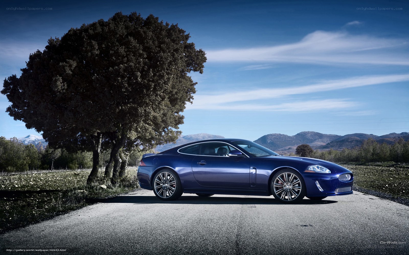Blue Jaguar on a country road