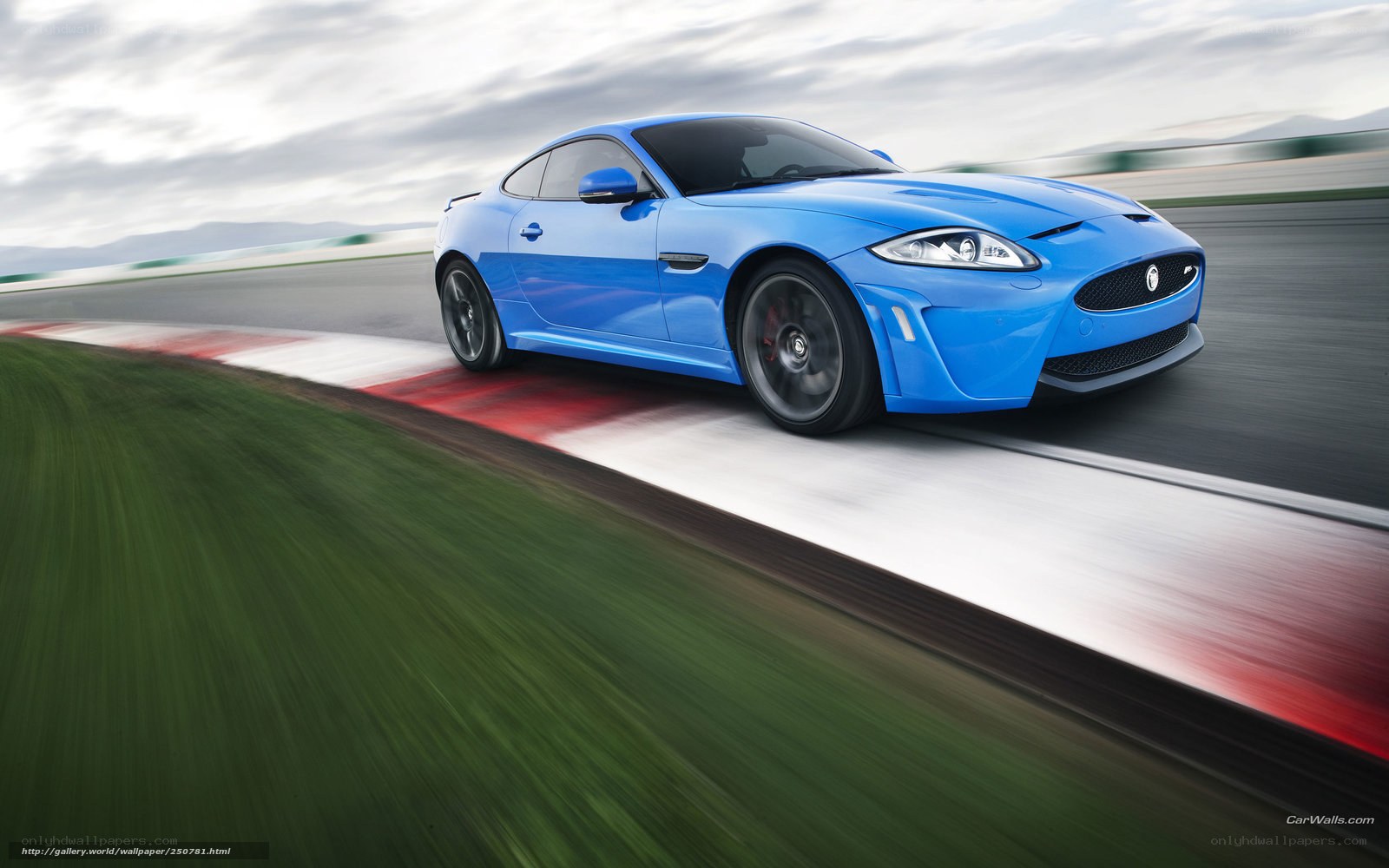 Blue Jaguar on a racetrack