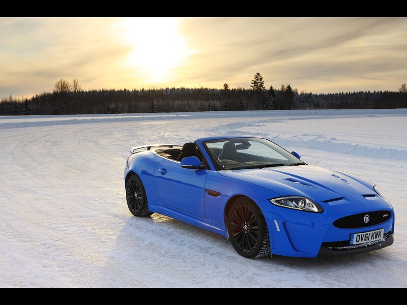 Blue Jaguar on a snowy field