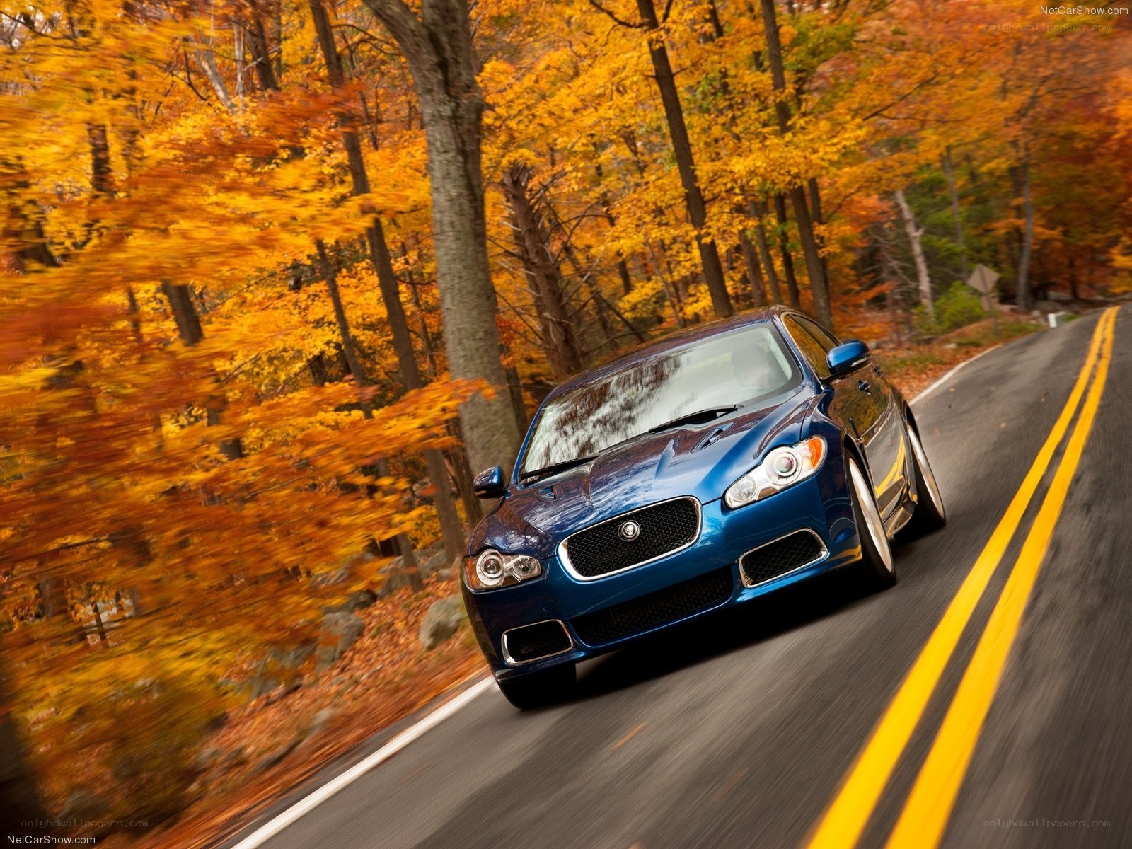 Blue Jaguar on autumn road