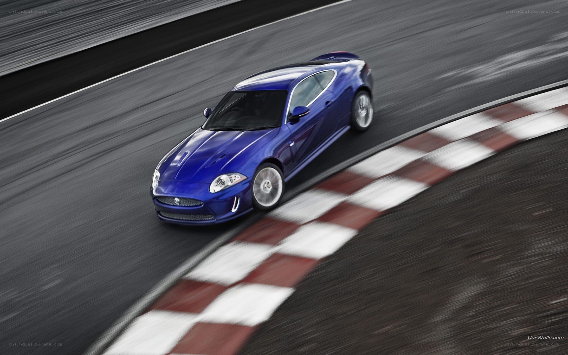 blue jaguar on racetrack