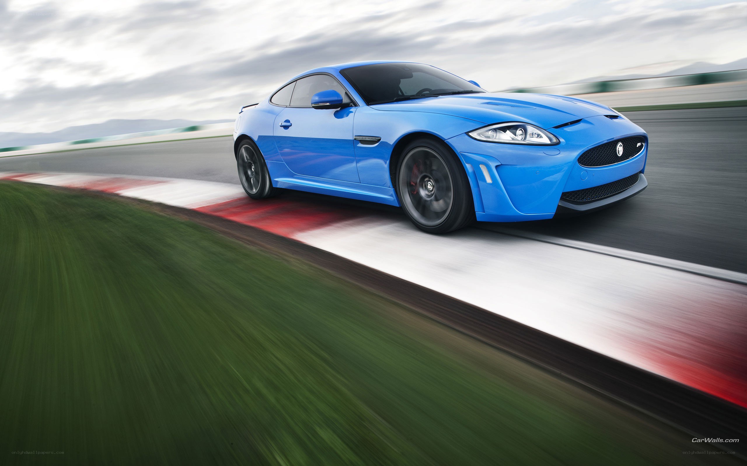 blue jaguar on racetrack