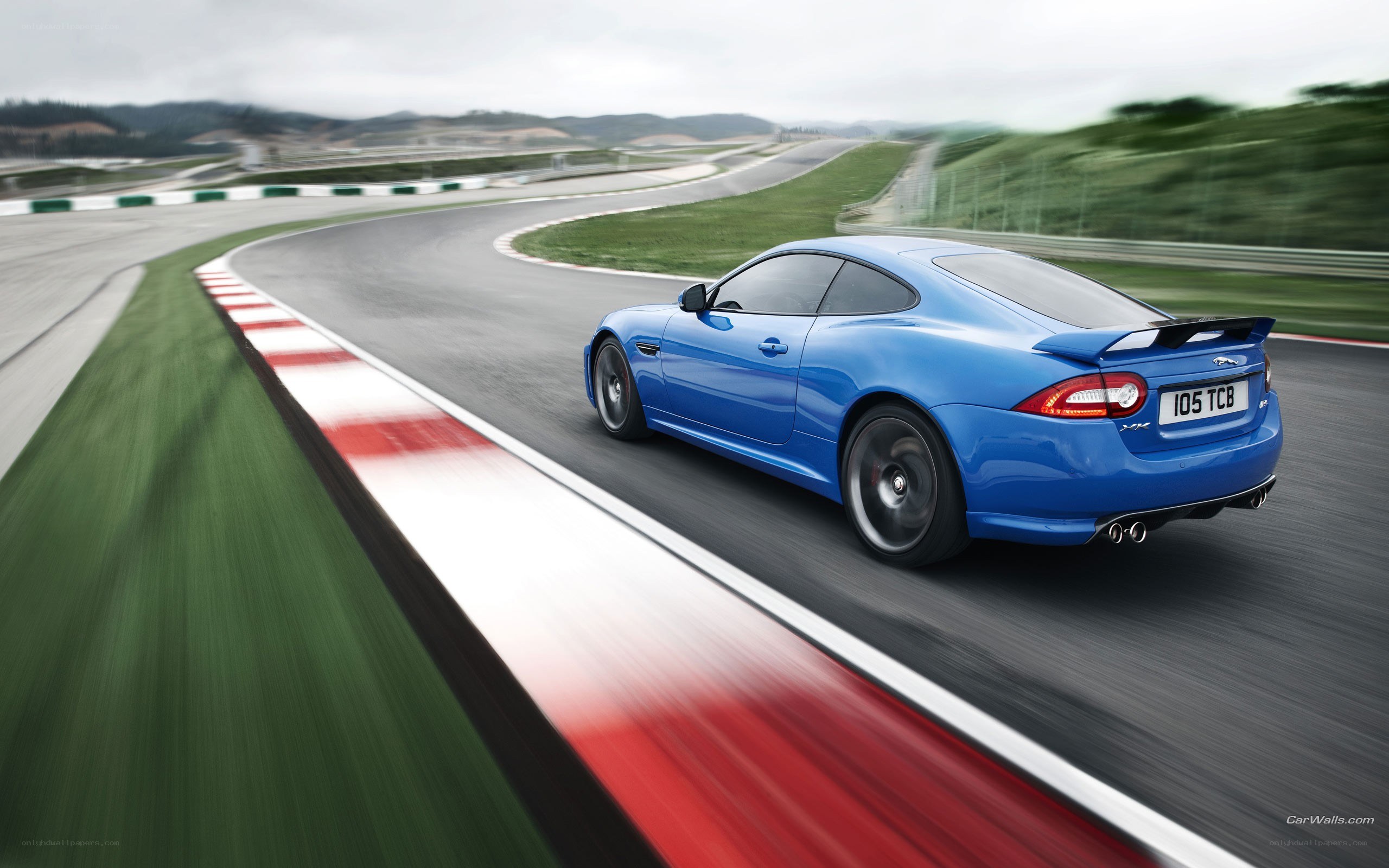 blue jaguar on racetrack
