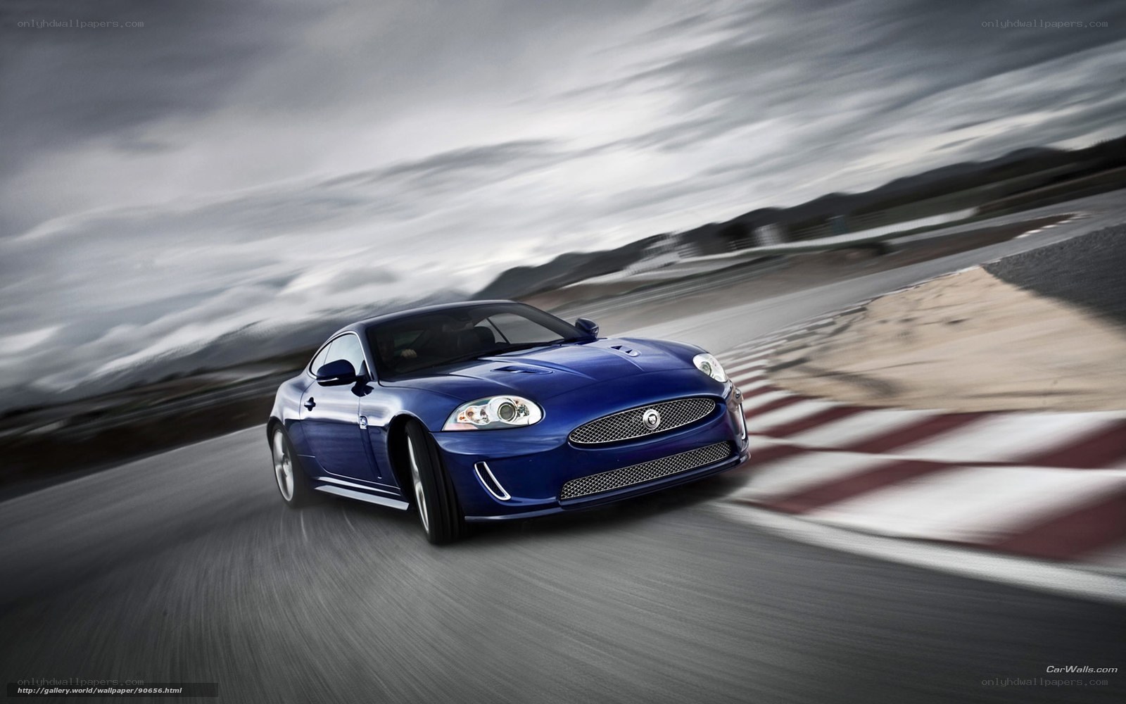 blue jaguar on racetrack