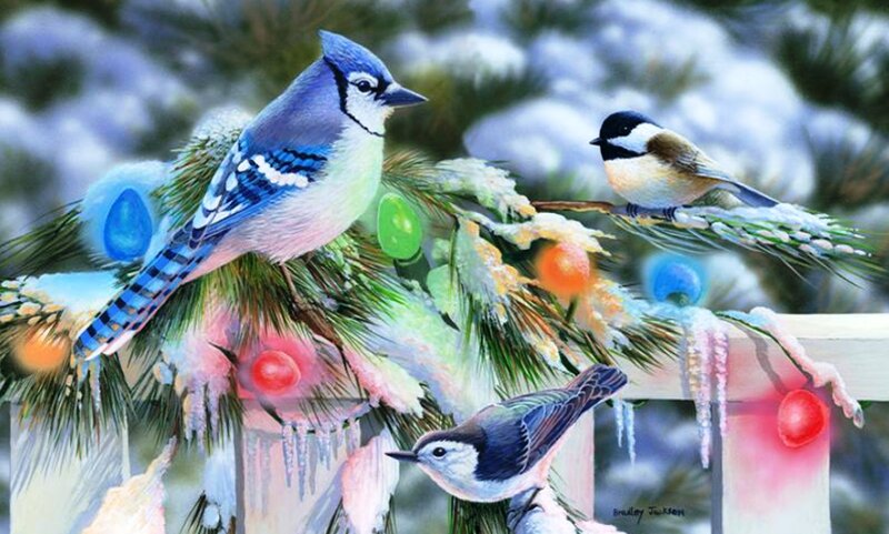 Blue Jay and Chickadees — Peaceful