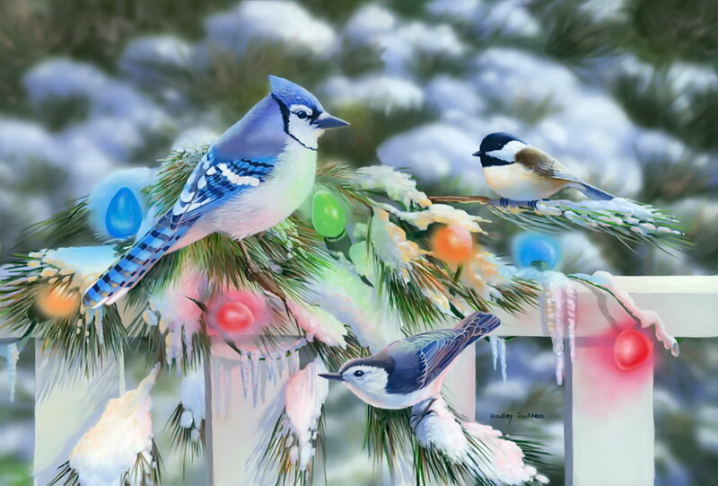 Blue Jay and Chickadees