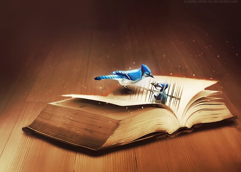 Blue Jay Bird on Book