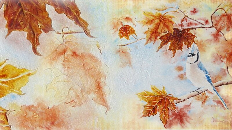 Blue Jay on Branch — Serene, Autumn