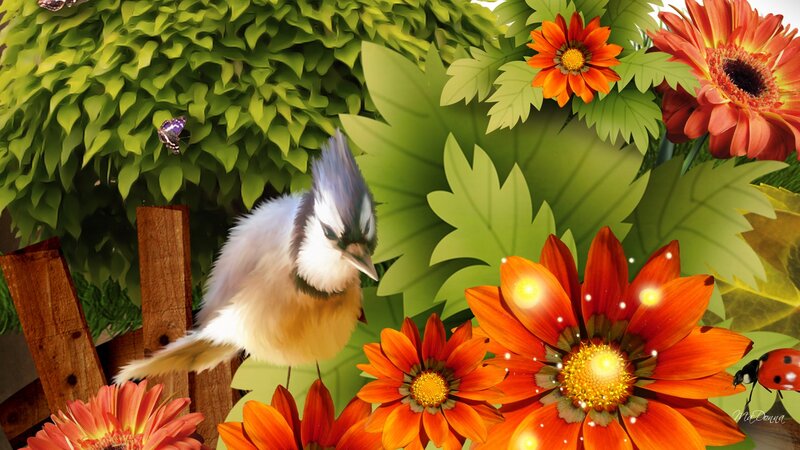 Blue Jay on Fence