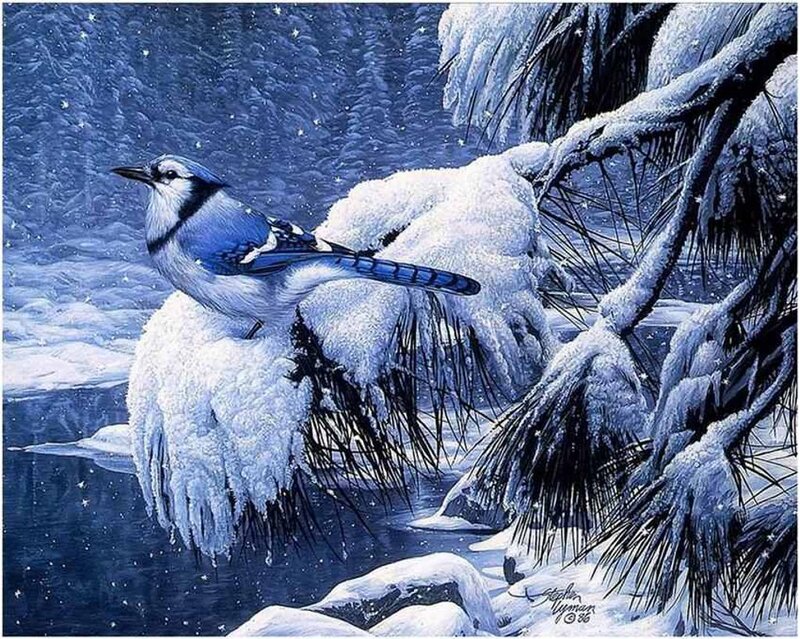 Blue Jay on Snowy Branch — Serene, Winter, Painting