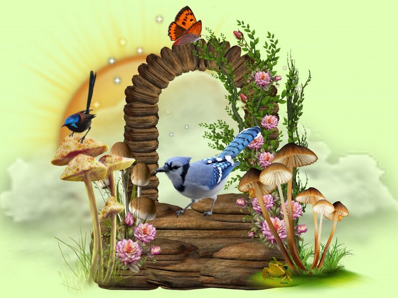 Blue Jay on Wooden Arch