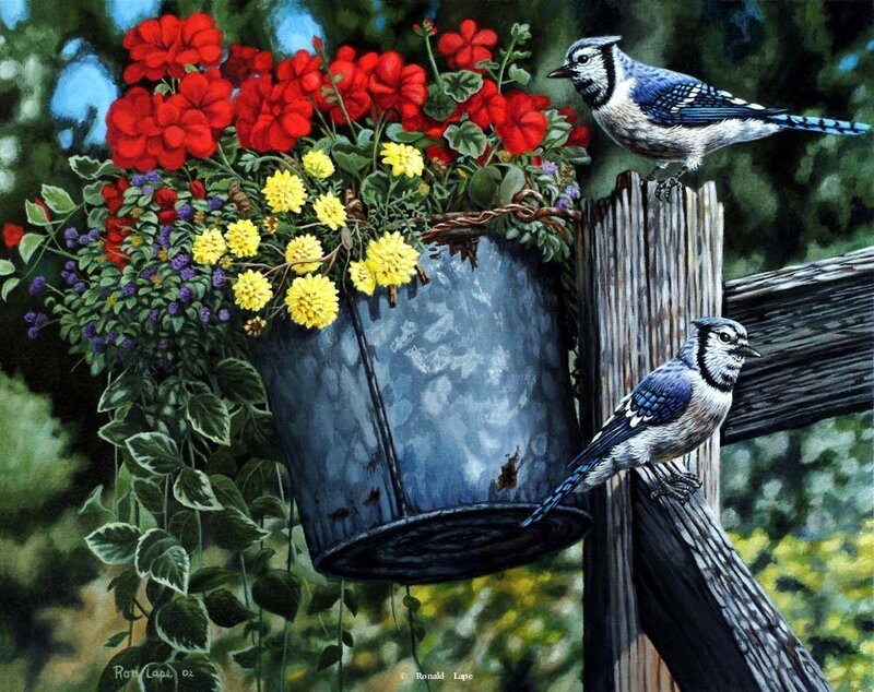 Blue jays in a flower pot