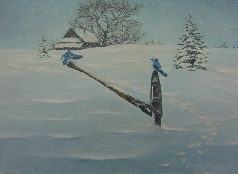 Blue jays in a snowy landscape