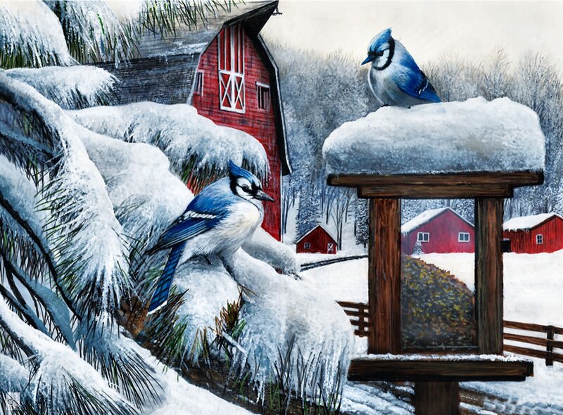 Blue Jays in Snow — White