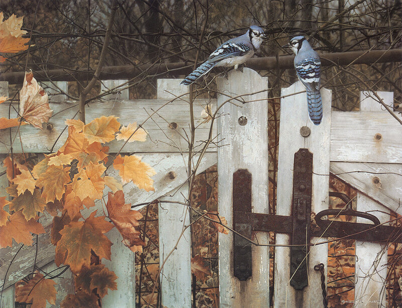 Blue jays on a wooden gate