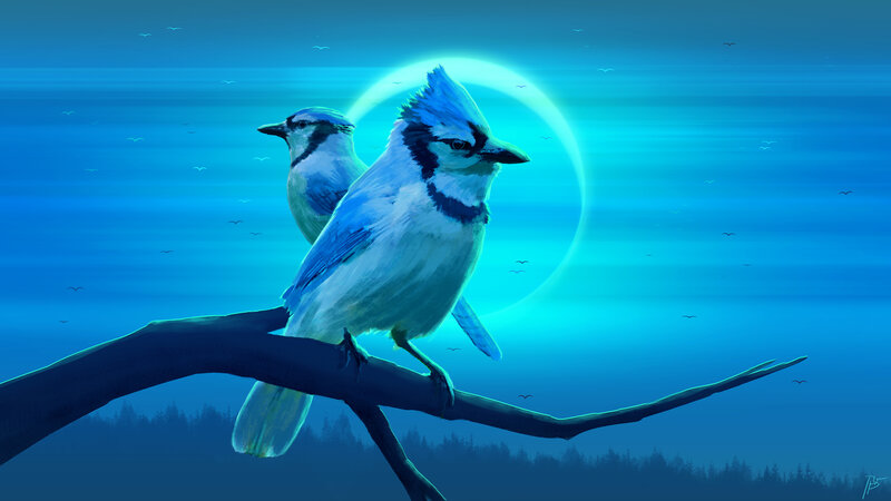 Blue Jays on Branch — Serene, Night