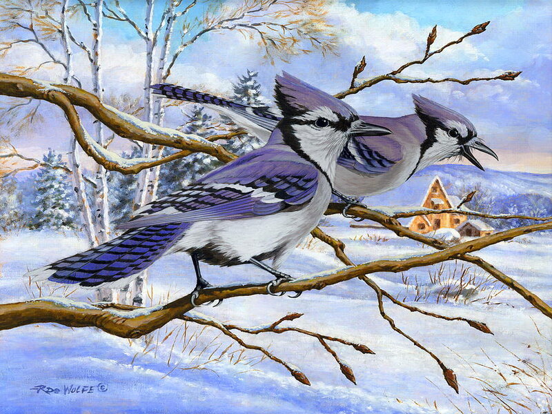 Blue Jays on Branch — Serene