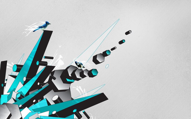 Blue Jays on Geometric Shapes