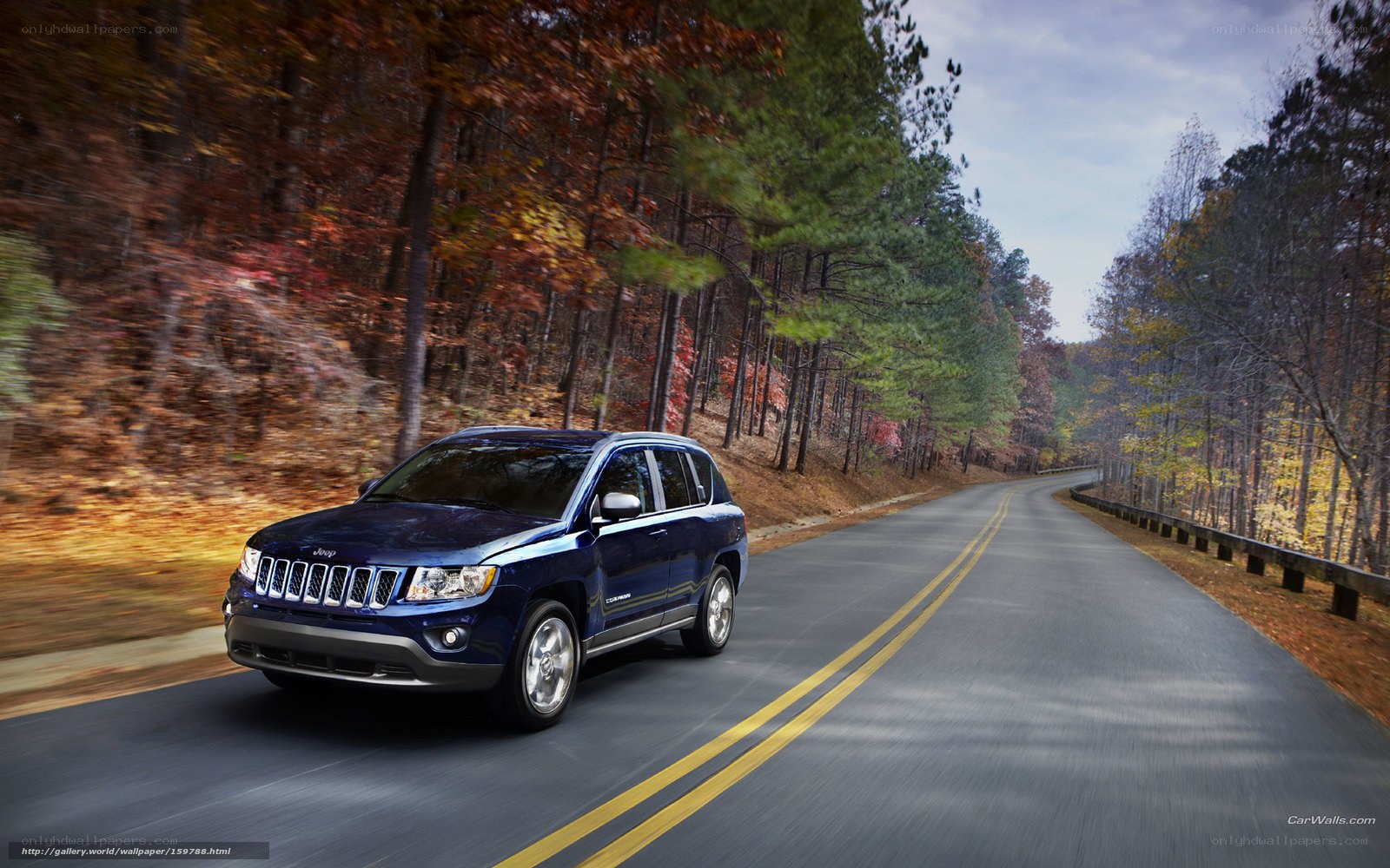 Blue Jeep driving on a forest road