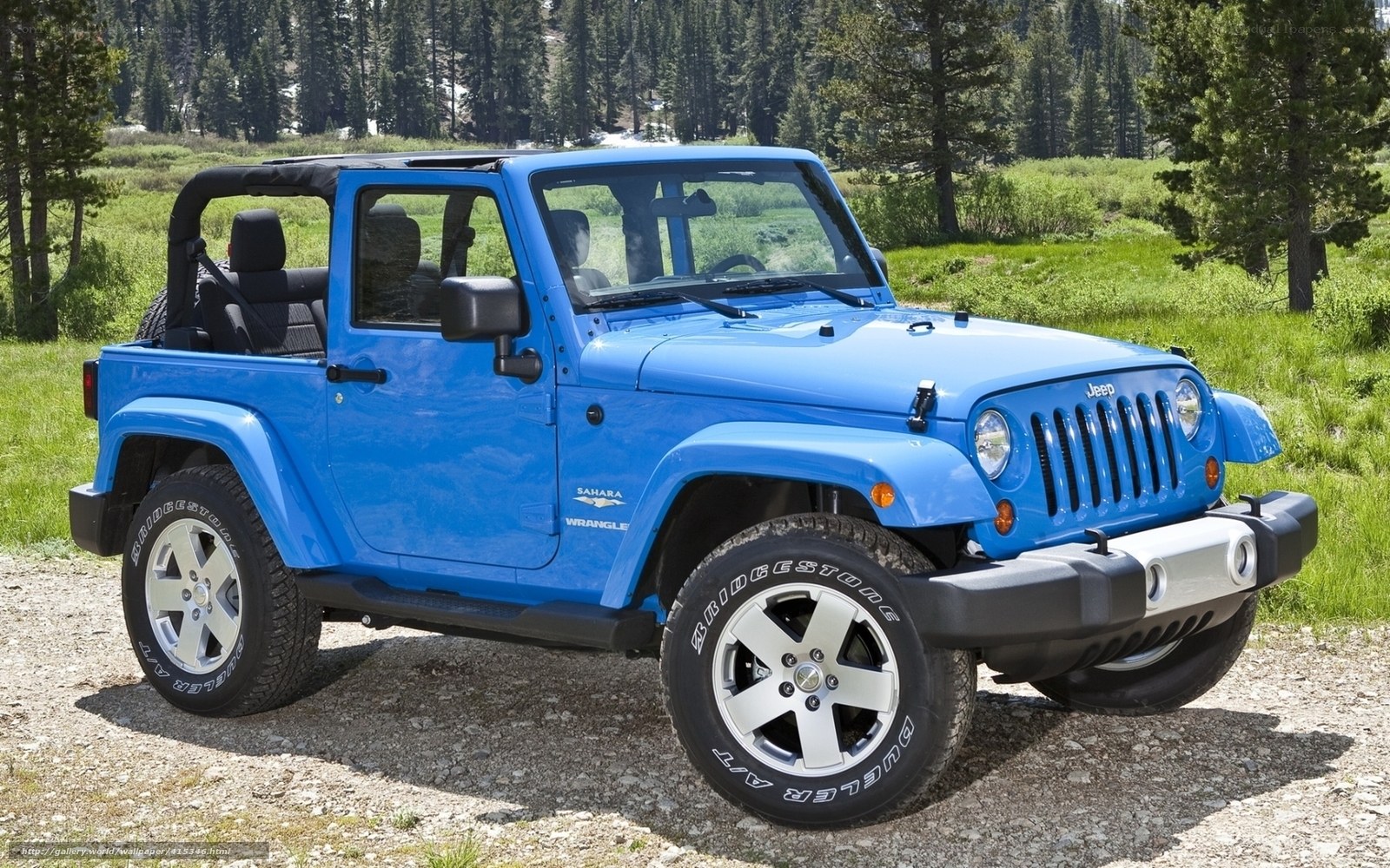 Blue Jeep Wrangler in forest